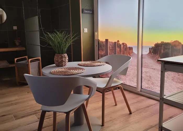 ô Plaisir ô Désir 4*